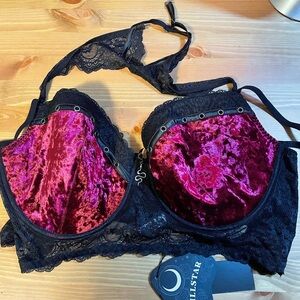 Killstar Velvet and Lace Bra in Black and Purple